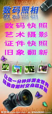 數(shù)碼攝影與數(shù)字廣告設(shè)計(jì) 打造吸睛視覺盛宴